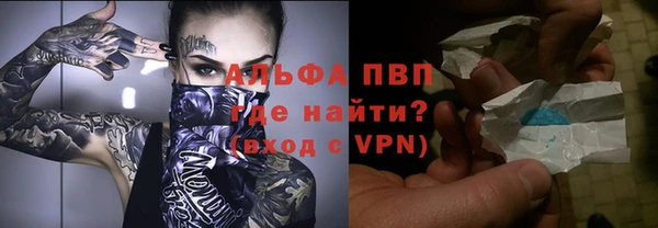 PSILOCYBIN Лихославль