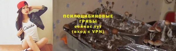 тгк Лиски