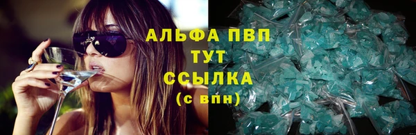 PSILOCYBIN Лихославль