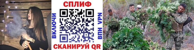 Купить где  Усинск  Бошки Шишки планчик 